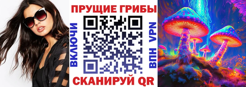 Купить закладки  Гусь-Хрустальный  Галлюциногенные грибы мицелий 